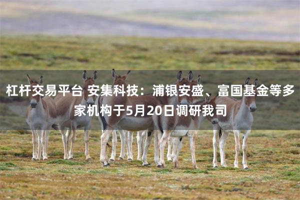 杠杆交易平台 安集科技：浦银安盛、富国基金等多家机构于5月20日调研我司