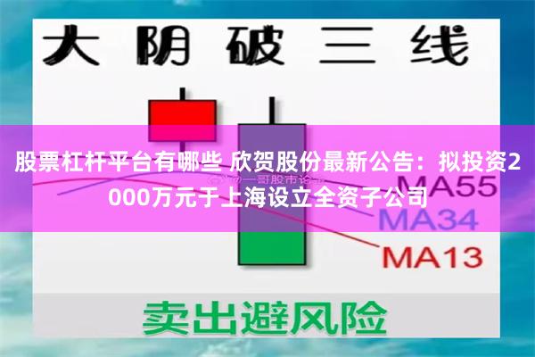 股票杠杆平台有哪些 欣贺股份最新公告：拟投资2000万元于上海设立全资子公司