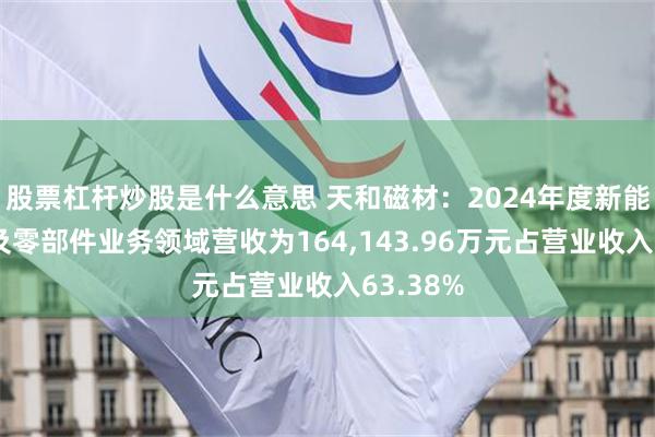 股票杠杆炒股是什么意思 天和磁材：2024年度新能源汽车及零部件业务领域营收为164,143.96万元占营业收入63.38%