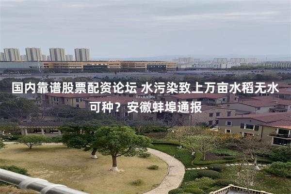 国内靠谱股票配资论坛 水污染致上万亩水稻无水可种？安徽蚌埠通报