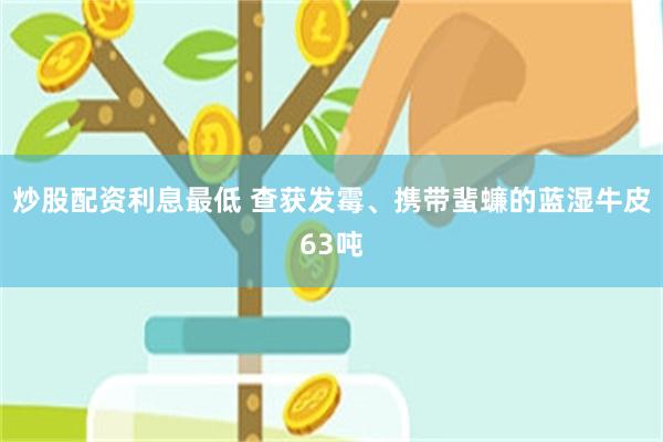 炒股配资利息最低 查获发霉、携带蜚蠊的蓝湿牛皮63吨