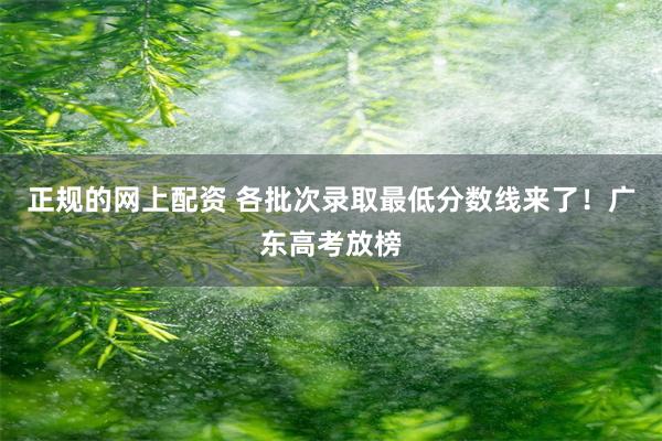 正规的网上配资 各批次录取最低分数线来了！广东高考放榜