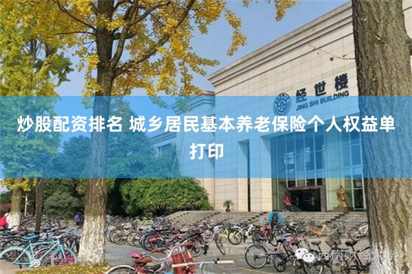 炒股配资排名 城乡居民基本养老保险个人权益单打印