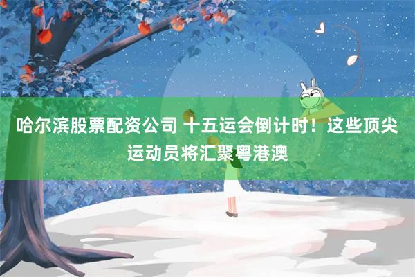 哈尔滨股票配资公司 十五运会倒计时！这些顶尖运动员将汇聚粤港澳