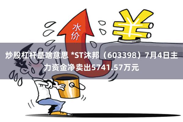 炒股杠杆是啥意思 *ST沐邦（603398）7月4日主力资金净卖出5741.57万元