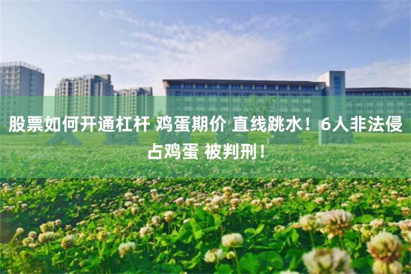 股票如何开通杠杆 鸡蛋期价 直线跳水！6人非法侵占鸡蛋 被判刑！