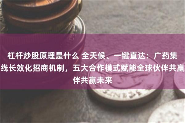 杠杆炒股原理是什么 全天候、一键直达：广药集团上线长效化招商机制，五大合作模式赋能全球伙伴共赢未来