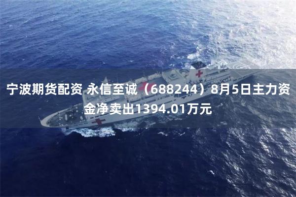 宁波期货配资 永信至诚（688244）8月5日主力资金净卖出1394.01万元