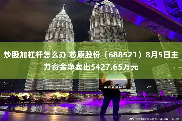 炒股加杠杆怎么办 芯原股份（688521）8月5日主力资金净卖出5427.65万元