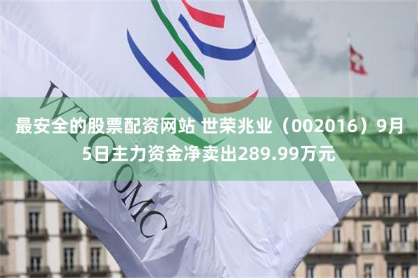 最安全的股票配资网站 世荣兆业（002016）9月5日主力资金净卖出289.99万元