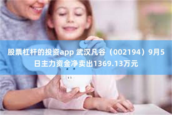 股票杠杆的投资app 武汉凡谷（002194）9月5日主力资金净卖出1369.13万元