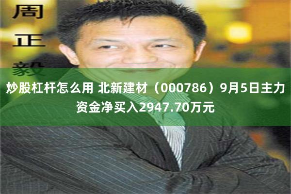 炒股杠杆怎么用 北新建材（000786）9月5日主力资金净买入2947.70万元
