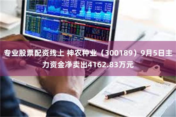 专业股票配资线上 神农种业（300189）9月5日主力资金净卖出4162.83万元