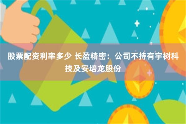 股票配资利率多少 长盈精密：公司不持有宇树科技及安培龙股份