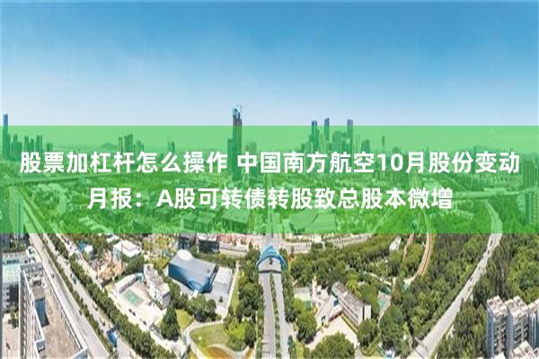 股票加杠杆怎么操作 中国南方航空10月股份变动月报：A股可转债转股致总股本微增
