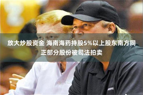 放大炒股资金 海南海药持股5%以上股东南方同正部分股份被司法拍卖