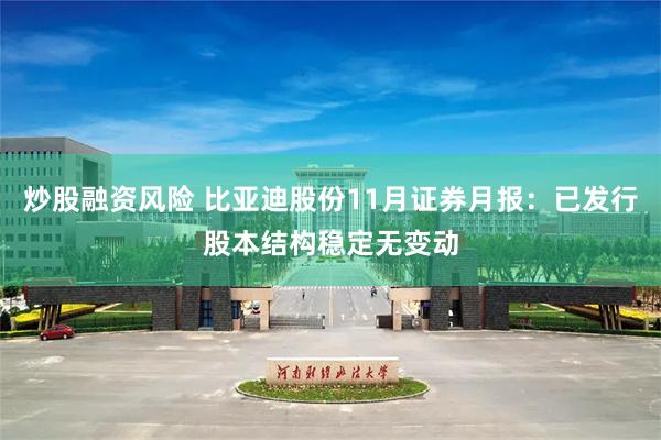 炒股融资风险 比亚迪股份11月证券月报：已发行股本结构稳定无变动