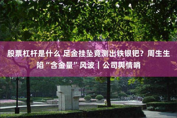 股票杠杆是什么 足金挂坠竟测出铁银钯？周生生陷“含金量”风波｜公司舆情哨