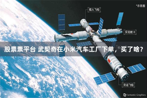 股票票平台 武契奇在小米汽车工厂下单，买了啥？