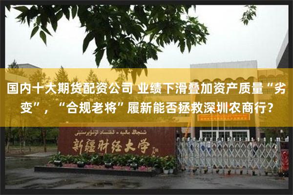 国内十大期货配资公司 业绩下滑叠加资产质量“劣变”，“合规老将”履新能否拯救深圳农商行？