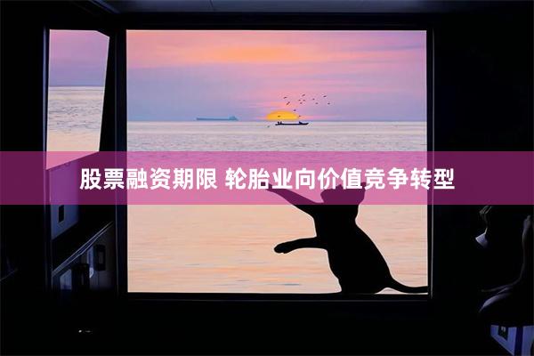 股票融资期限 轮胎业向价值竞争转型