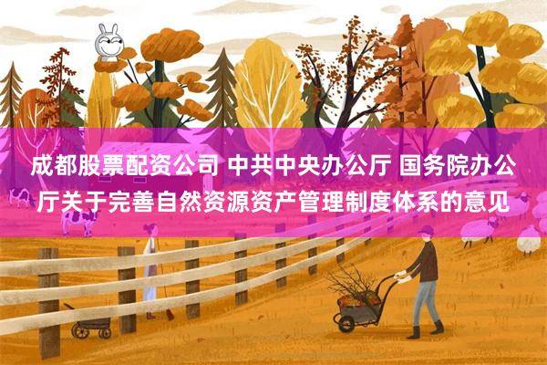 成都股票配资公司 中共中央办公厅 国务院办公厅关于完善自然资源资产管理制度体系的意见