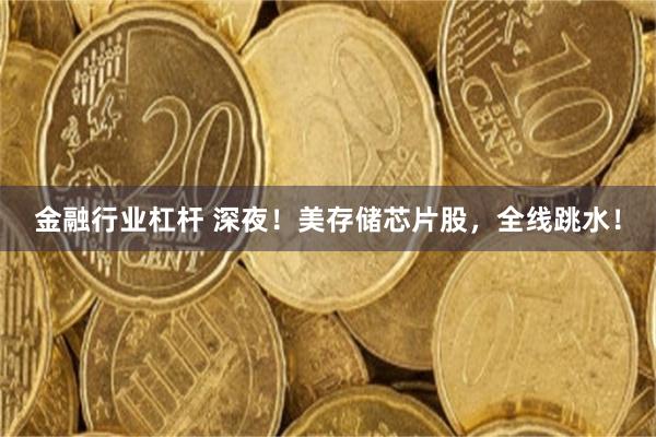 金融行业杠杆 深夜！美存储芯片股，全线跳水！