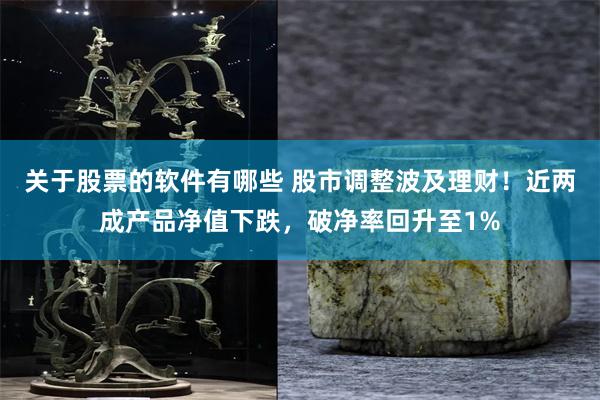 关于股票的软件有哪些 股市调整波及理财！近两成产品净值下跌，破净率回升至1%