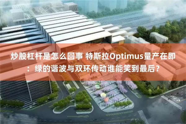 炒股杠杆是怎么回事 特斯拉Optimus量产在即：绿的谐波与双环传动谁能笑到最后？