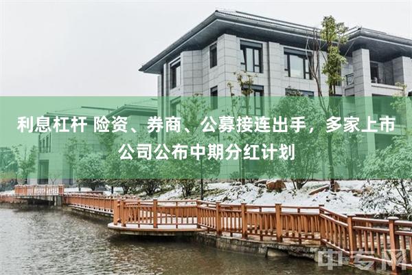 利息杠杆 险资、券商、公募接连出手，多家上市公司公布中期分红计划