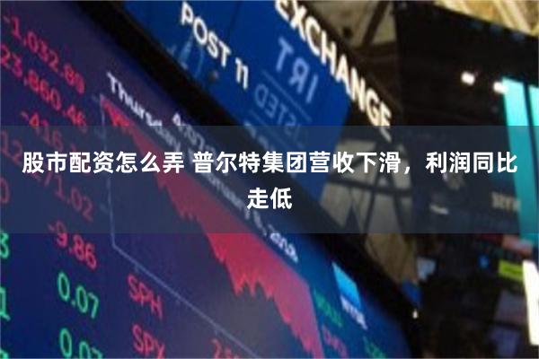 股市配资怎么弄 普尔特集团营收下滑，利润同比走低