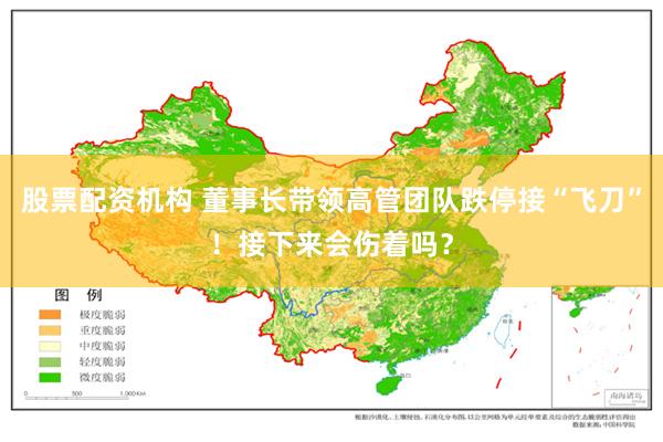 股票配资机构 董事长带领高管团队跌停接“飞刀”！接下来会伤着吗？