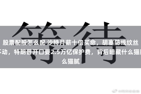 股票配股怎么配 沙特月薪十倍买命，胡塞防线纹丝不动，特朗普开口要2.5万亿保护费，背后暗藏什么猫腻