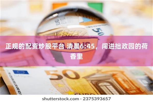 正规的配资炒股平台 清晨6:45，闯进拙政园的荷香里