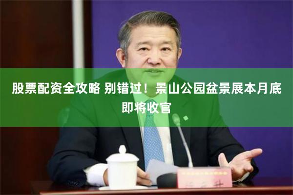 股票配资全攻略 别错过！景山公园盆景展本月底即将收官