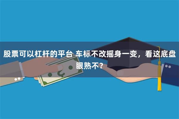 股票可以杠杆的平台 车标不改摇身一变，看这底盘眼熟不？