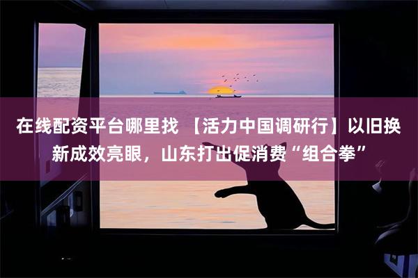 在线配资平台哪里找 【活力中国调研行】以旧换新成效亮眼，山东打出促消费“组合拳”