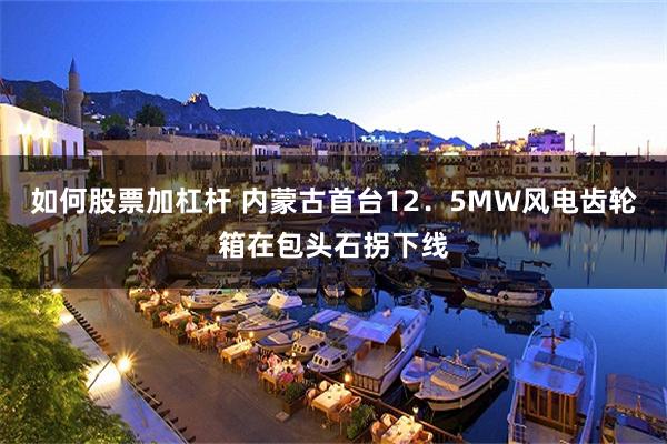 如何股票加杠杆 内蒙古首台12．5MW风电齿轮箱在包头石拐下线