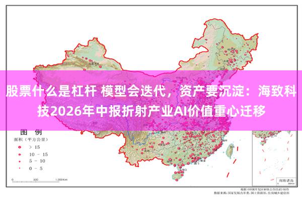 股票什么是杠杆 模型会迭代,资产要沉淀:海致科技2026年中报折射产业AI价值重心迁移